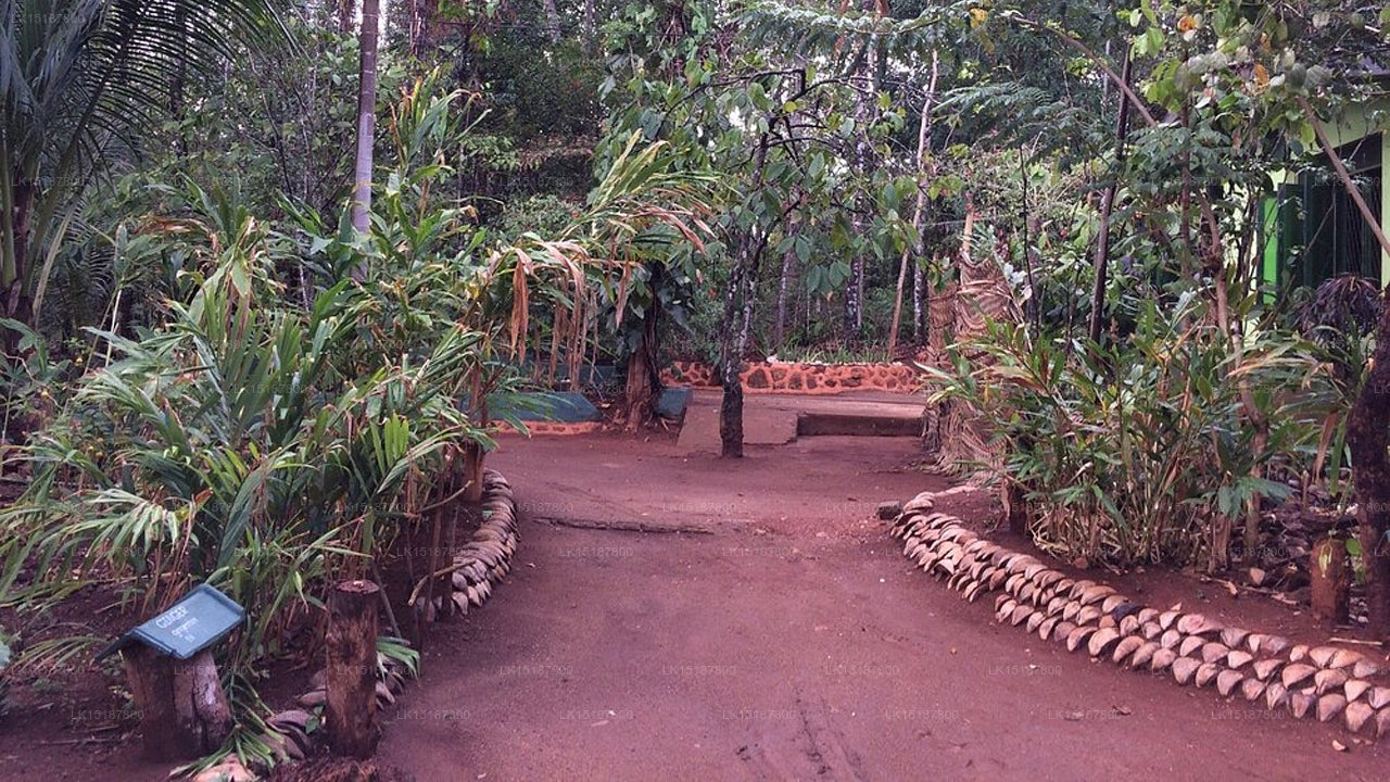Paramount 200 Gewürzgarten, Matale