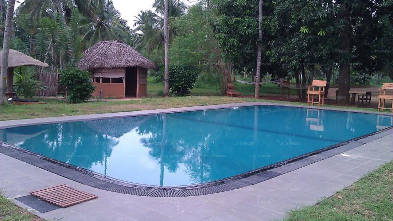 Der Hain, Puttalam