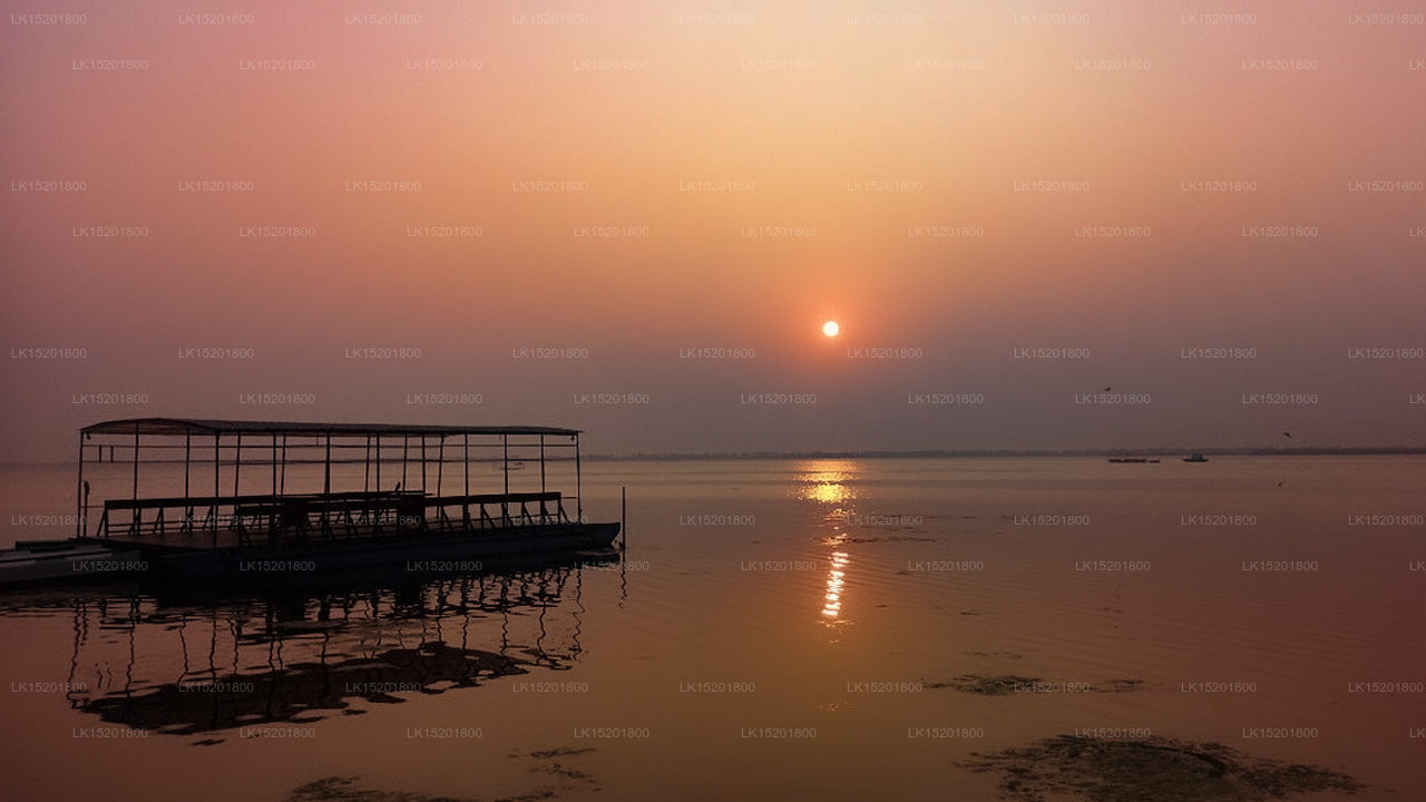 Aarya-Lagune Kalpitiya, Kalpitiya