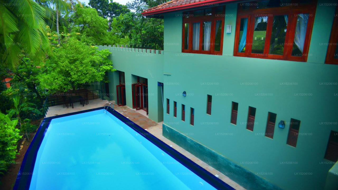 Tropischer Rückzugsort, Galle