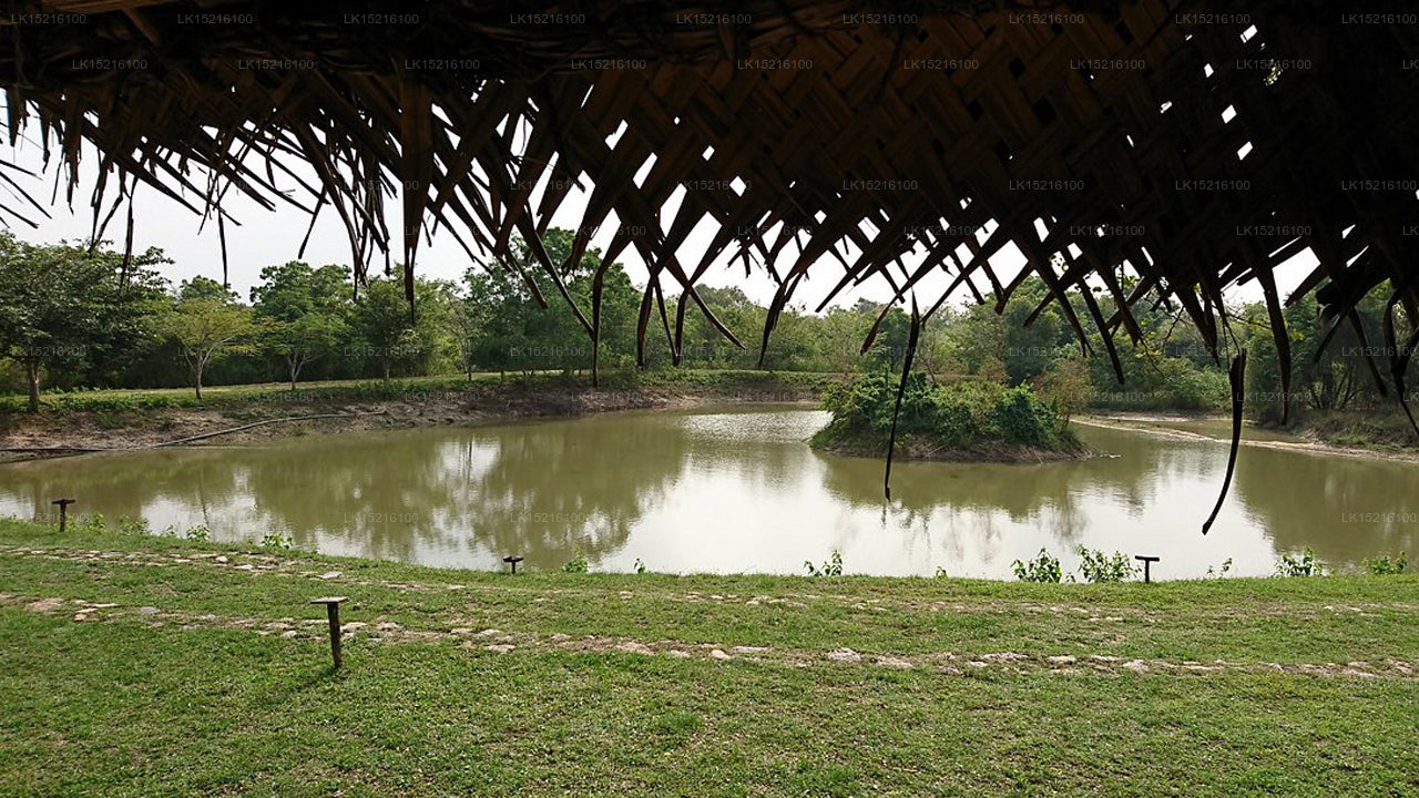 Cadjan-Erde, Anamaduwa