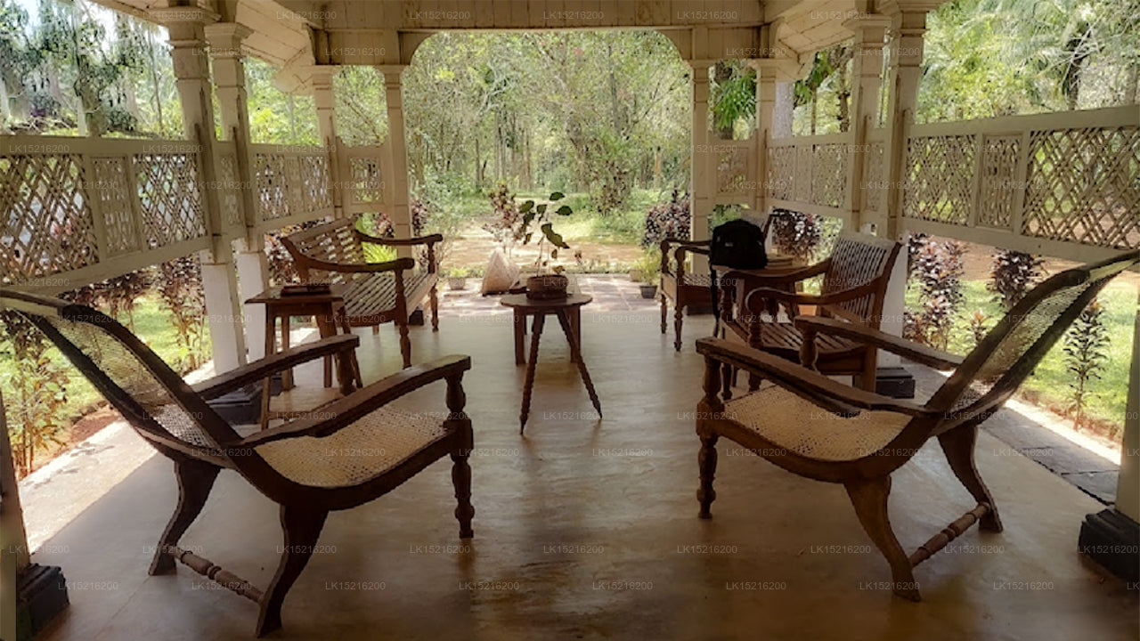 Cadjan heilig, Anuradhapura