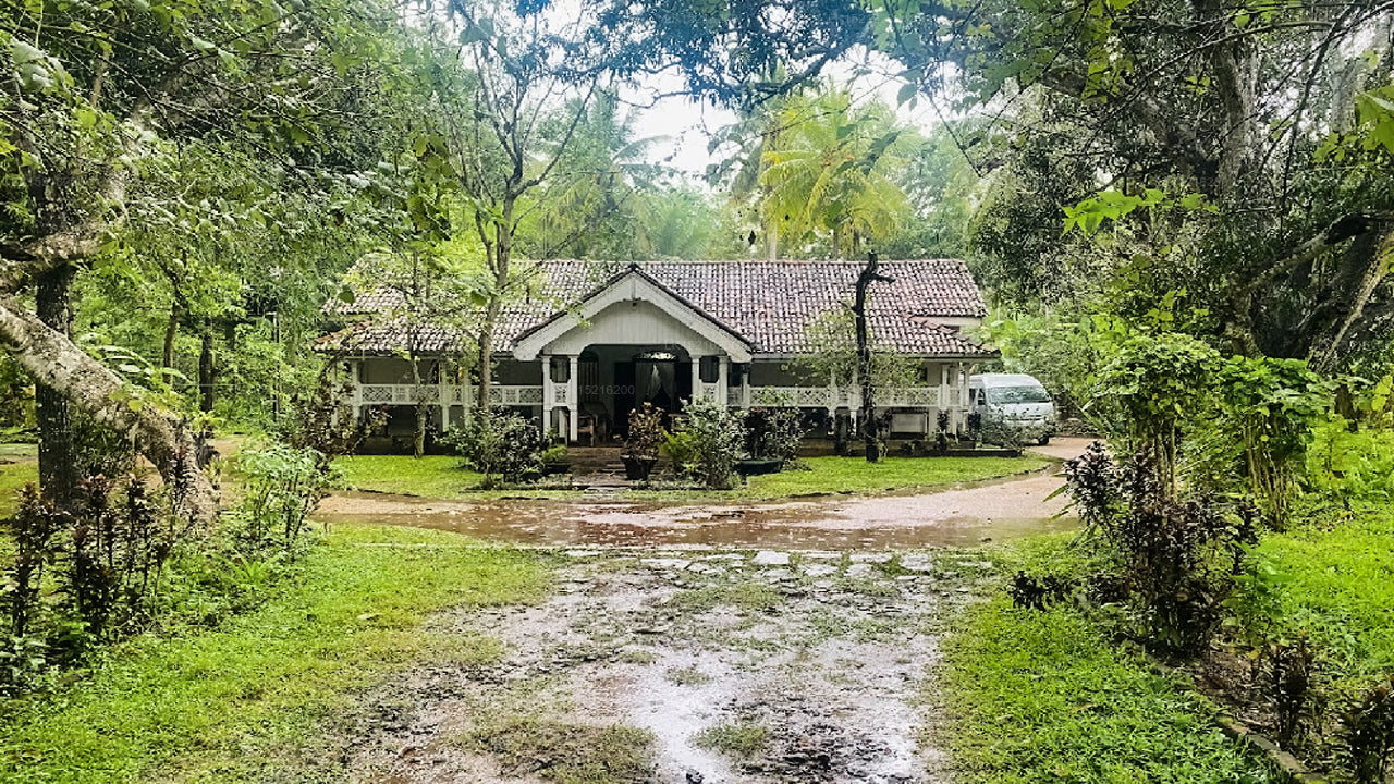 Cadjan heilig, Anuradhapura