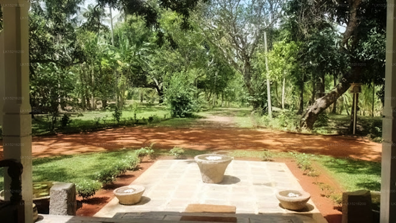 Cadjan heilig, Anuradhapura