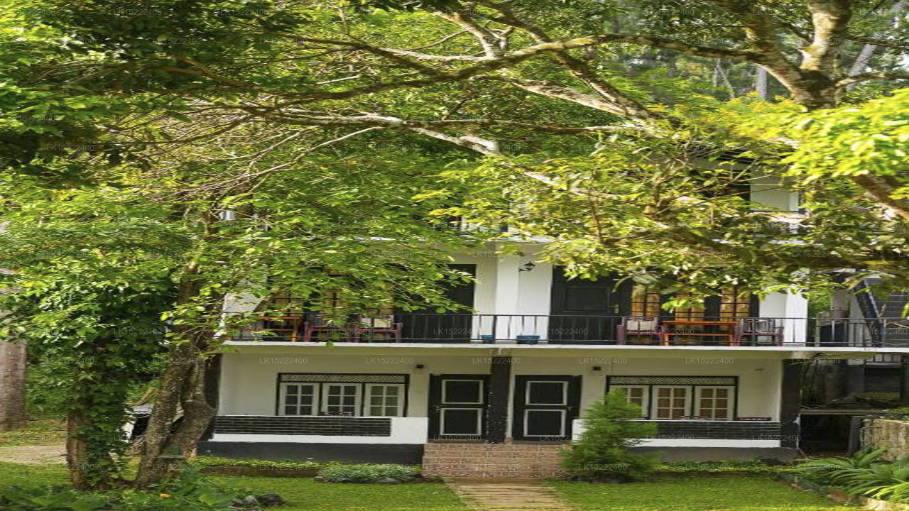 Waldparadies, Ella
