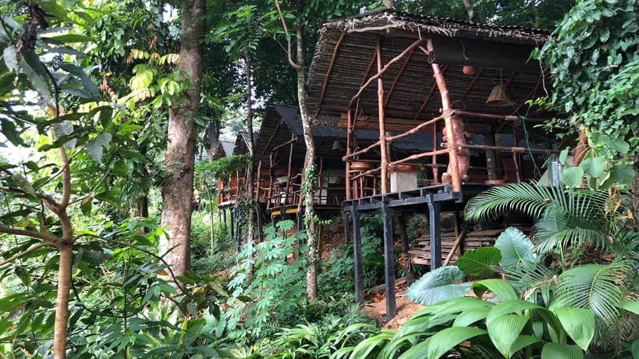 Borderlands Adventure Eco Lodge, Kitulgala