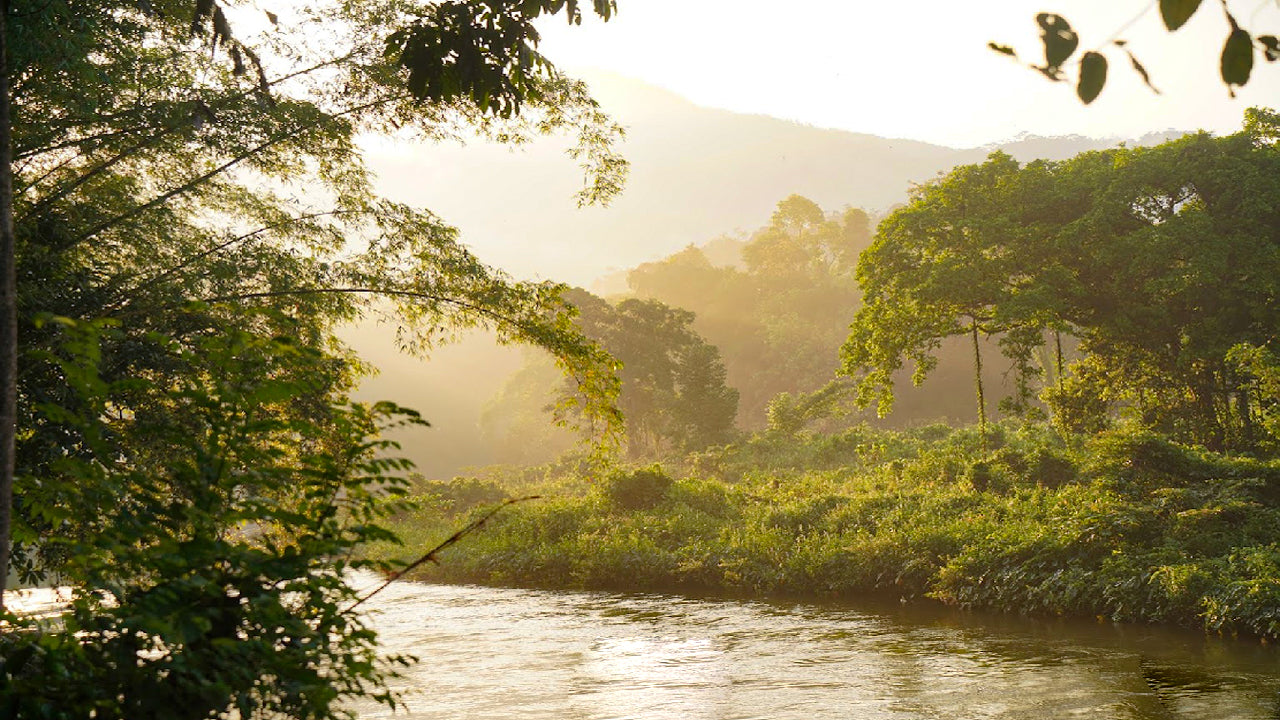 Borderlands Adventure Eco Lodge, Kitulgala
