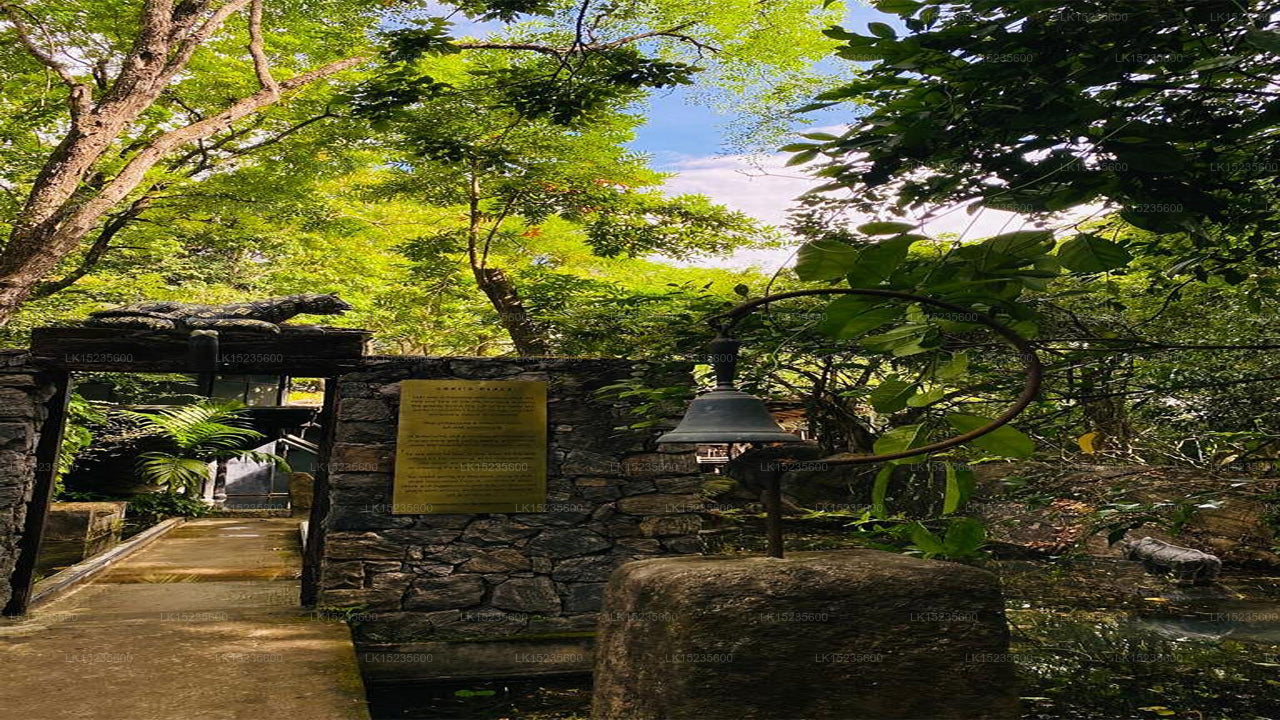 Diyabubula, das Barberyn Art & Jungle Hideaway, Dambulla