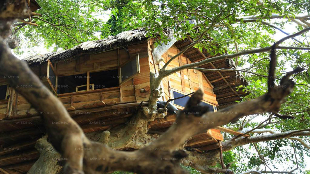 Baumhaus Villa Kumbuk, Tissamaharama