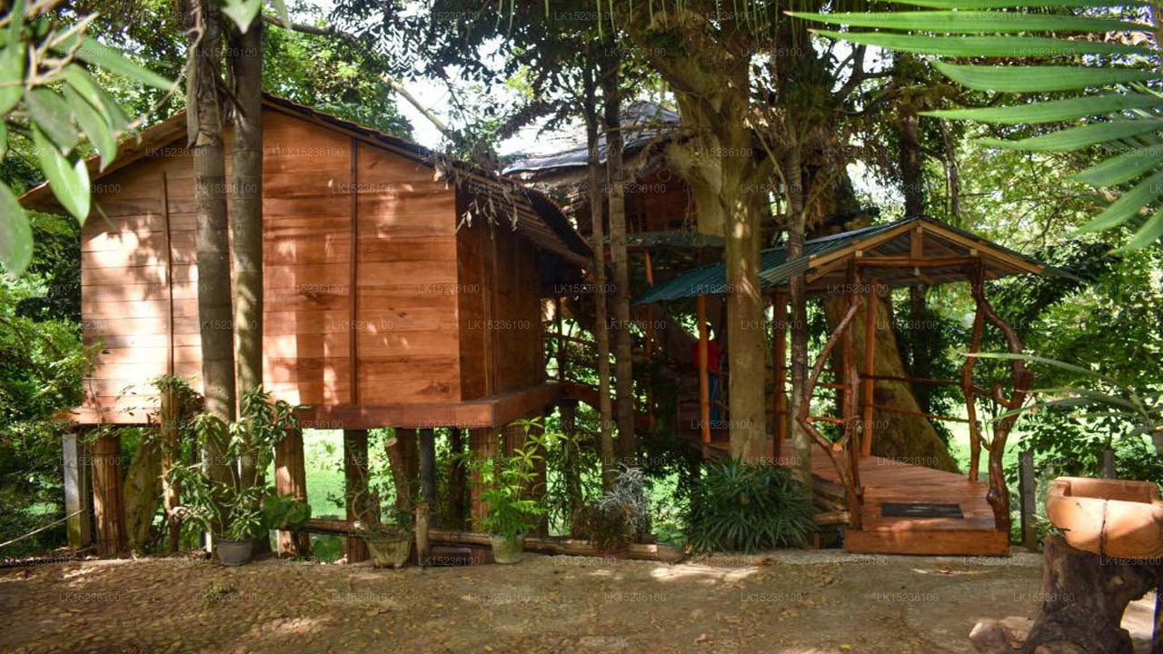 Baumhaus Villa Kumbuk, Tissamaharama