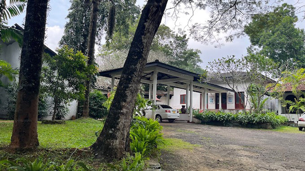 Elefantenvilla, Ambepussa