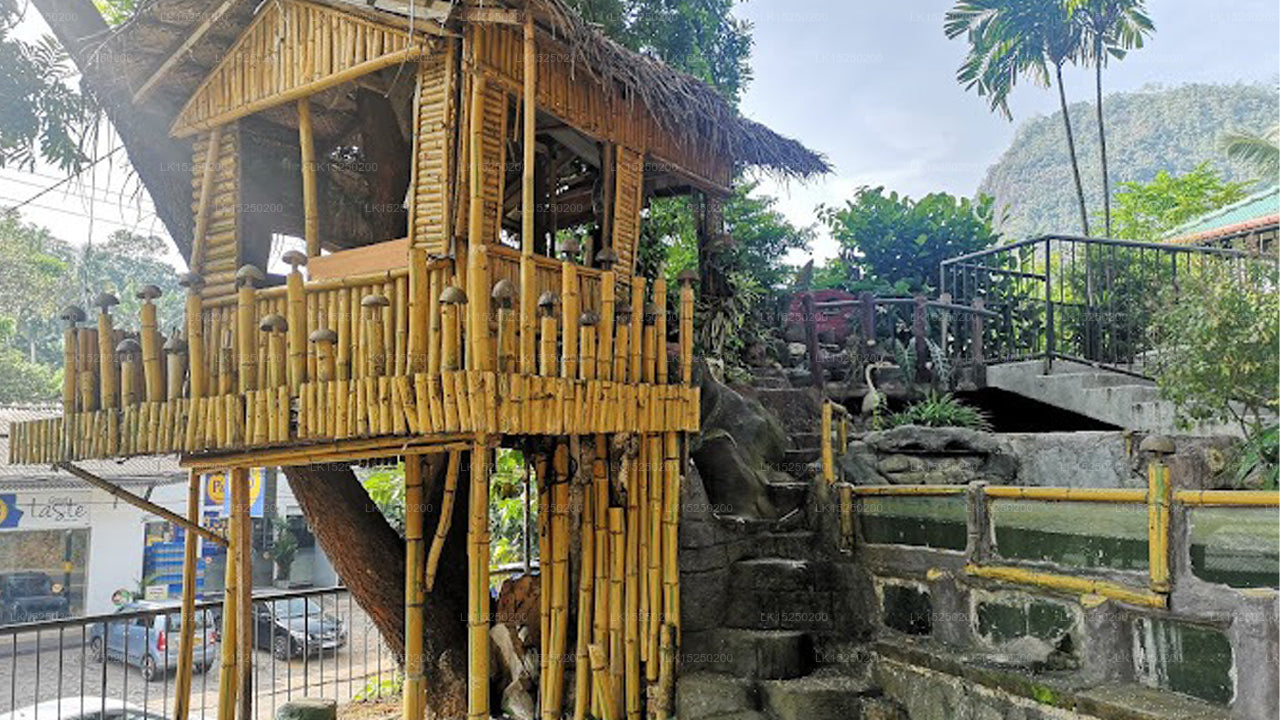 Elefantenvilla, Ambepussa
