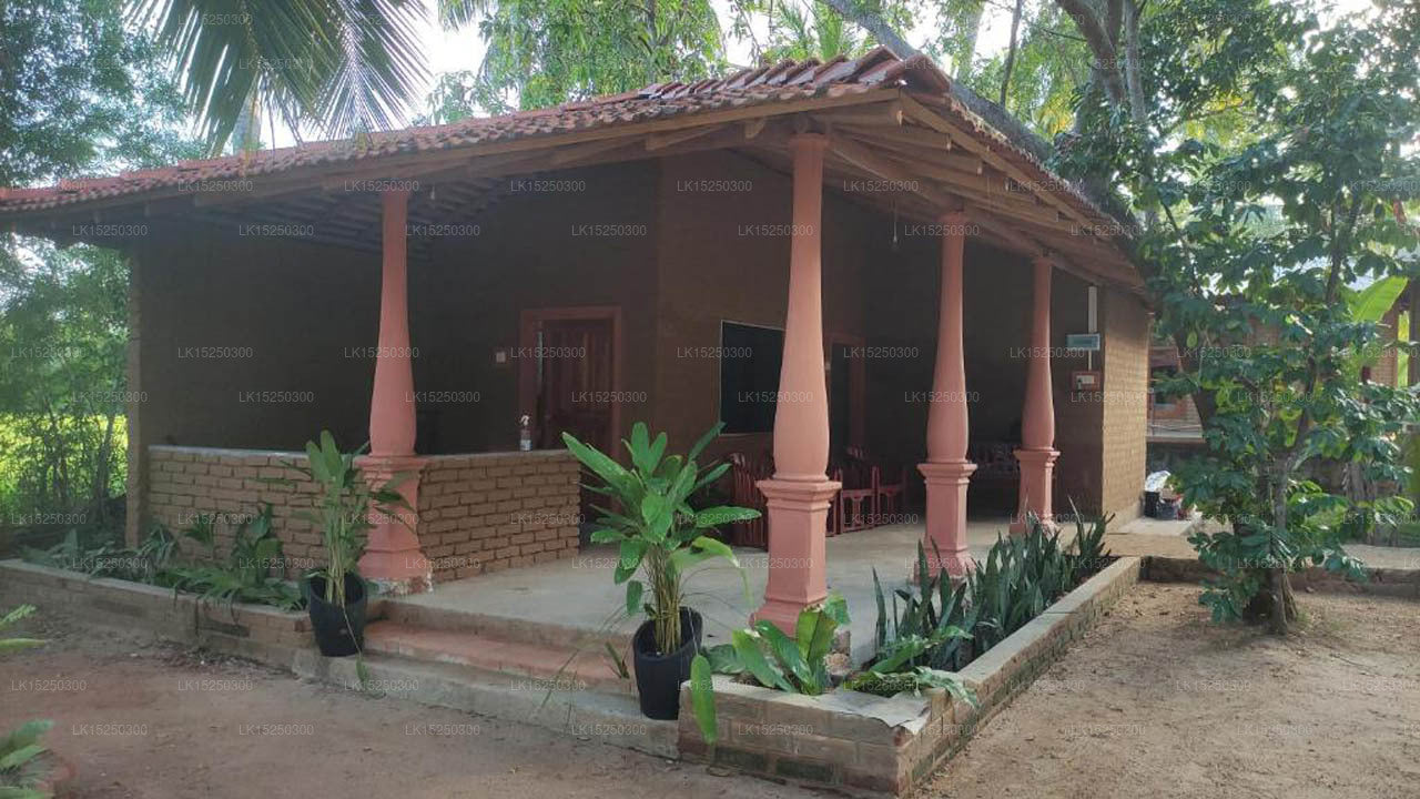 Reis Reisvillen, Tissamaharama