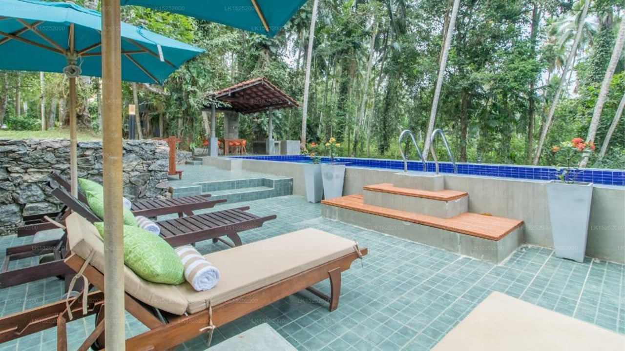 Die Ananasvilla, Gampaha