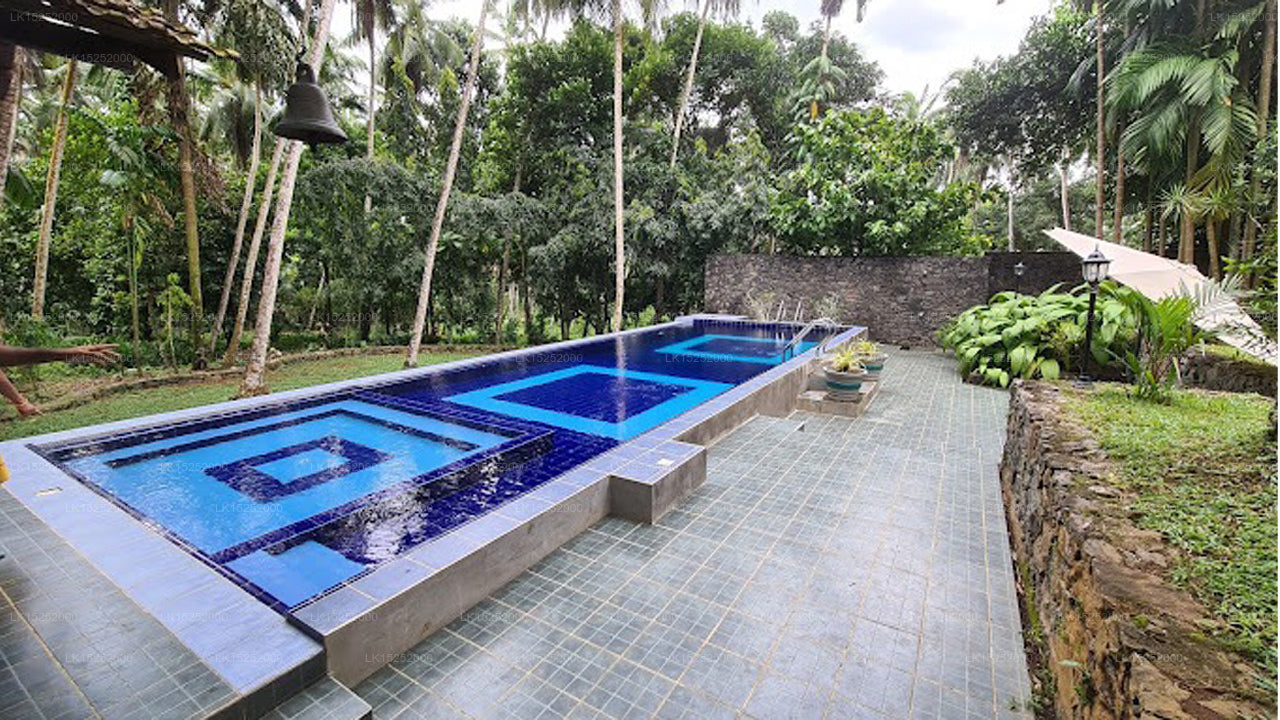 Die Ananasvilla, Gampaha