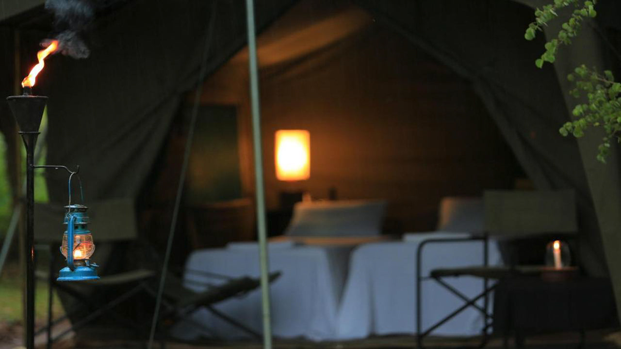 Großwildcamps und Lodges, Wilpattu