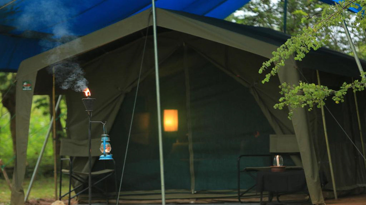 Großwildcamps und Lodges, Wilpattu