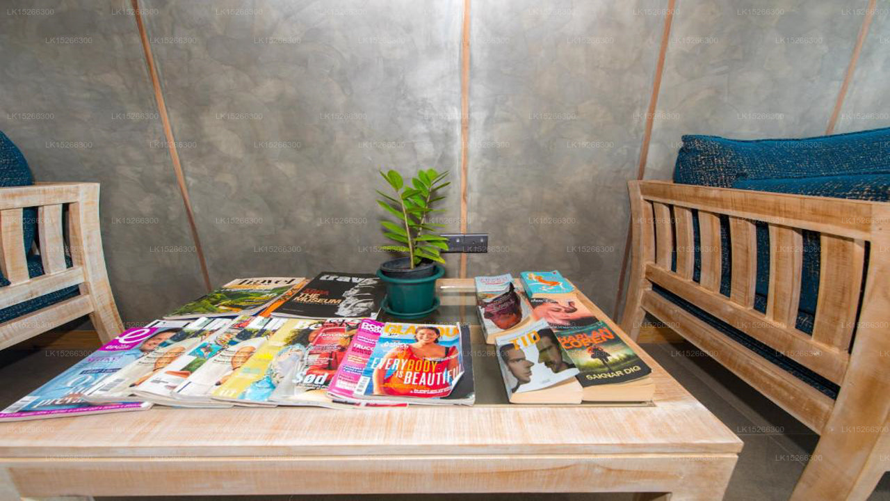 Ballena Regentschaft, Mirissa