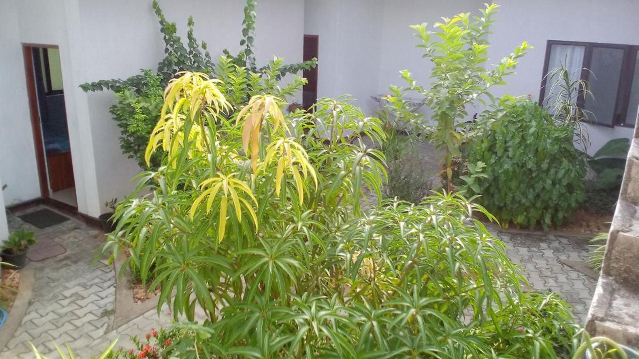 Nachtigall Inn, Kurunegala