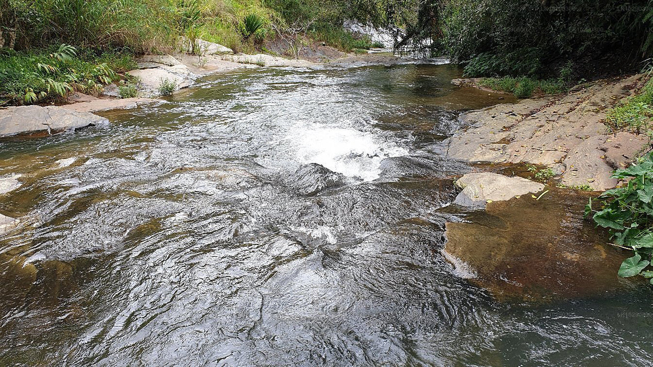 Hideaway Trails von Chaarya, Ella