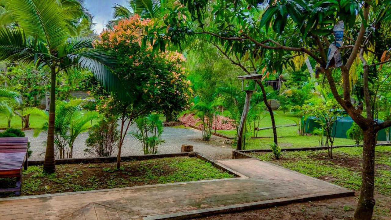 Pride Rock Villa & Baumhaus, Sigiriya
