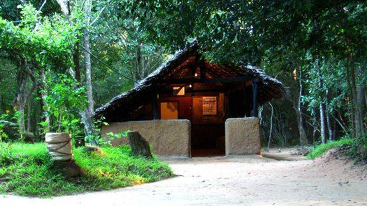 Pophams Arboretum, Dambulla