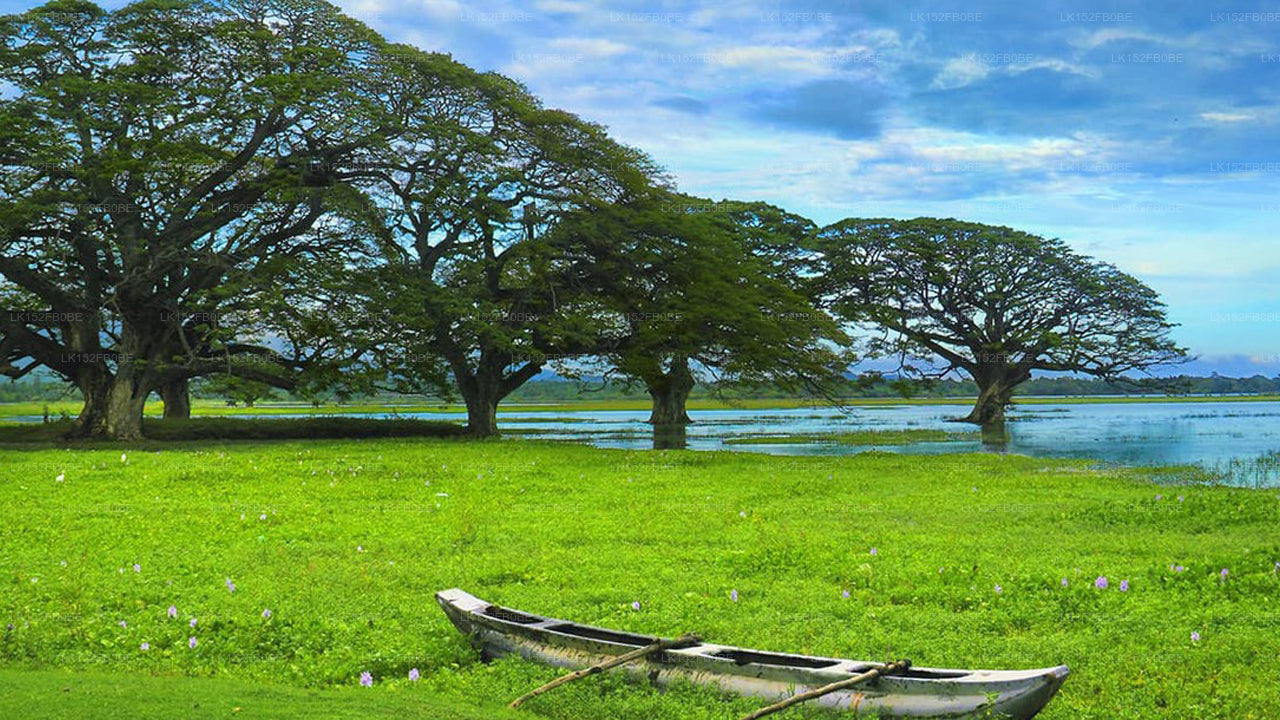 Cottage mit Seeblick, Tissamaharama
