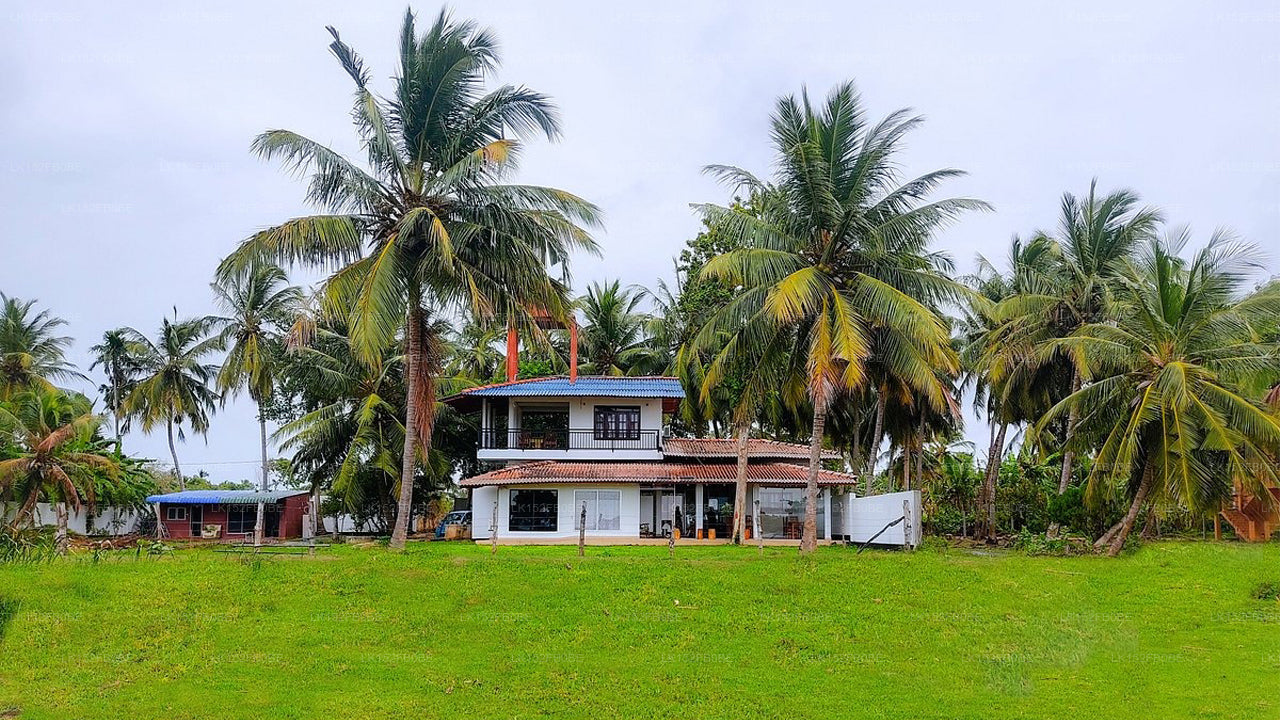 Cottage mit Seeblick, Tissamaharama