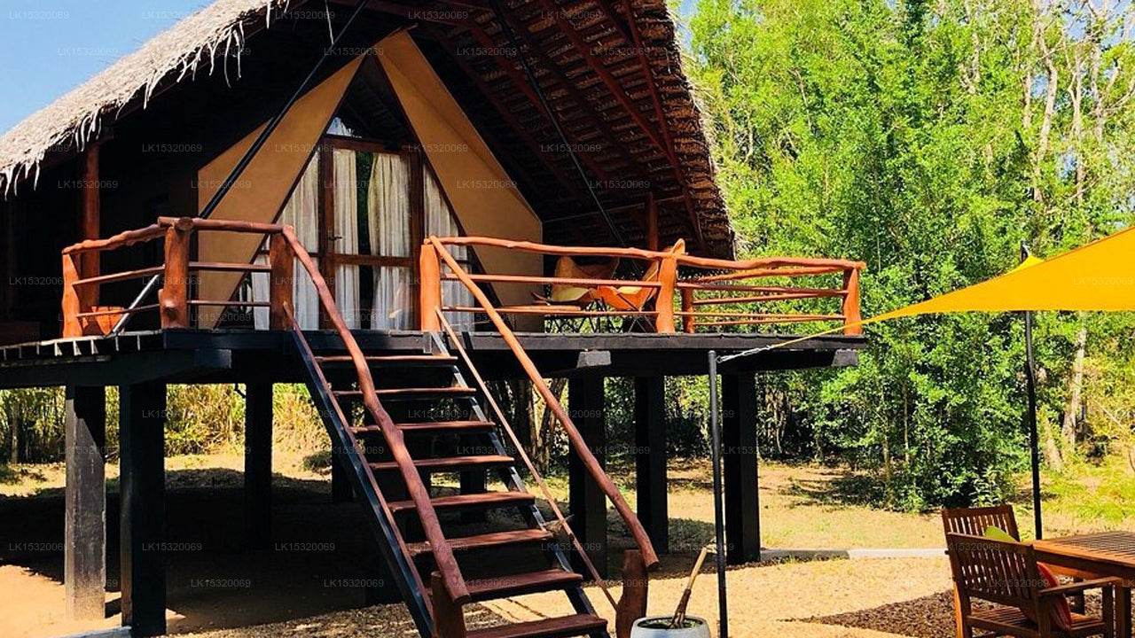 Ceylon Wilpattu Safaris & Unterkunft