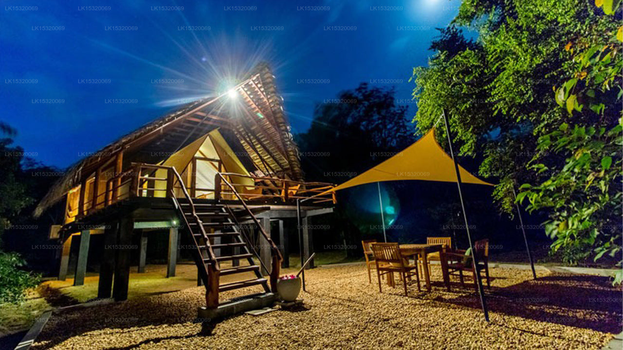 Ceylon Wilpattu Safaris & Unterkunft