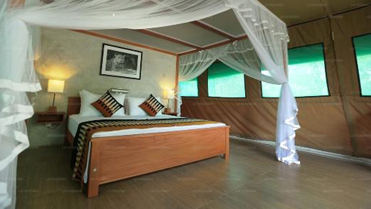 Ceylon Wilpattu Safaris & Unterkunft