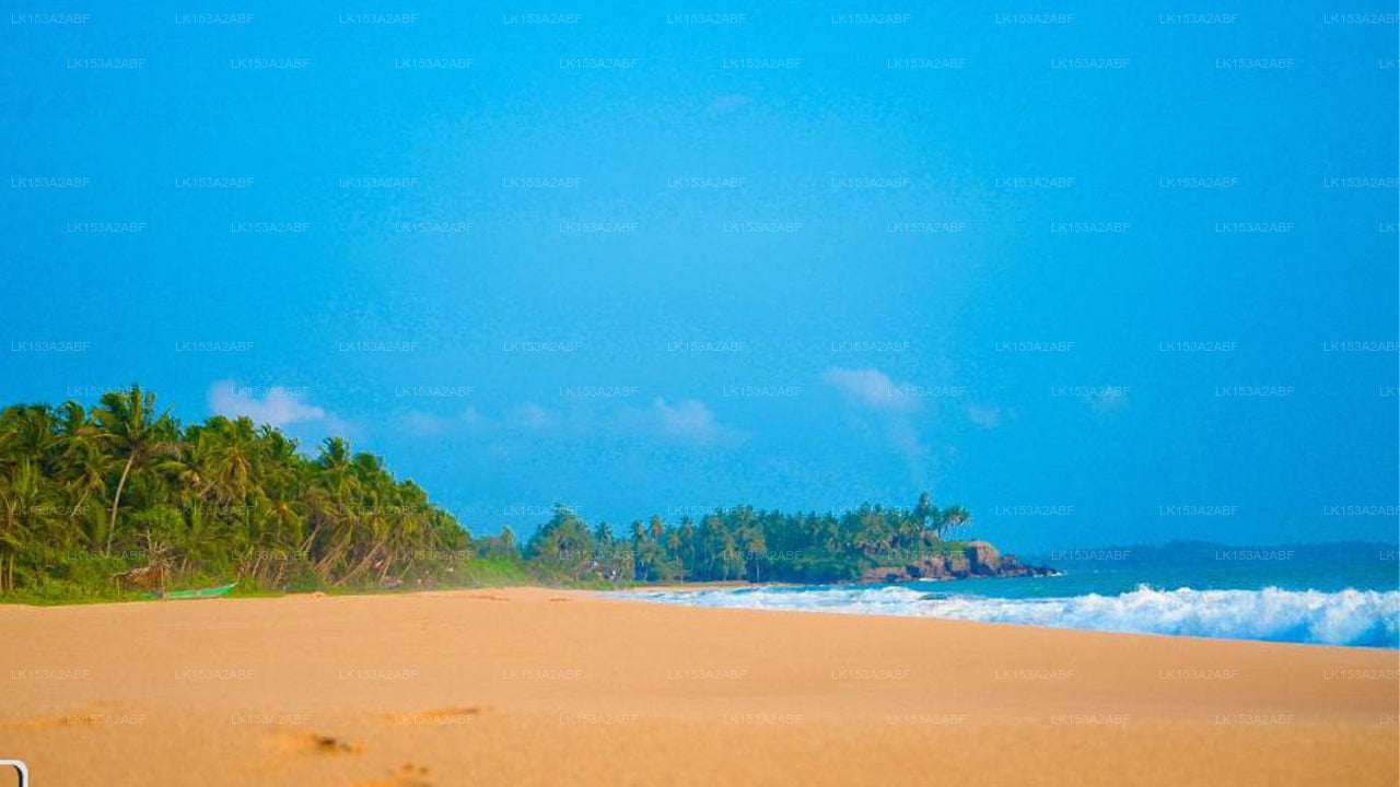 Strandvilla, Induruwa