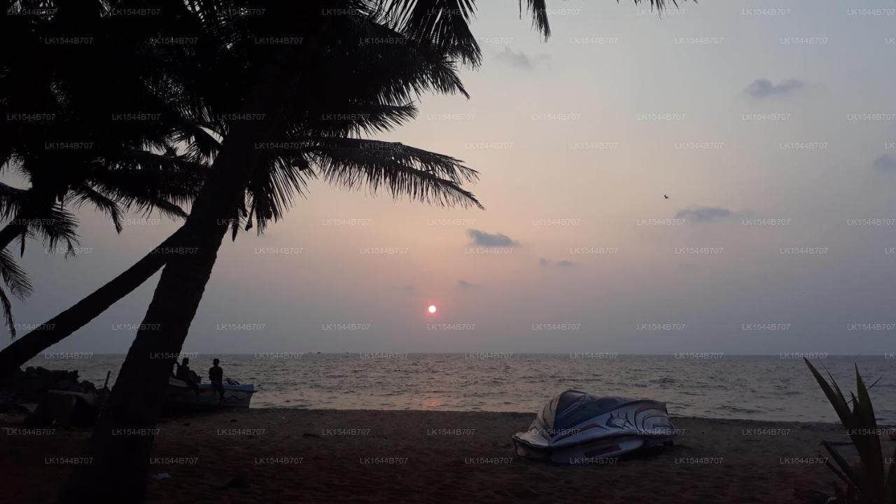 Strandhaus, Negombo