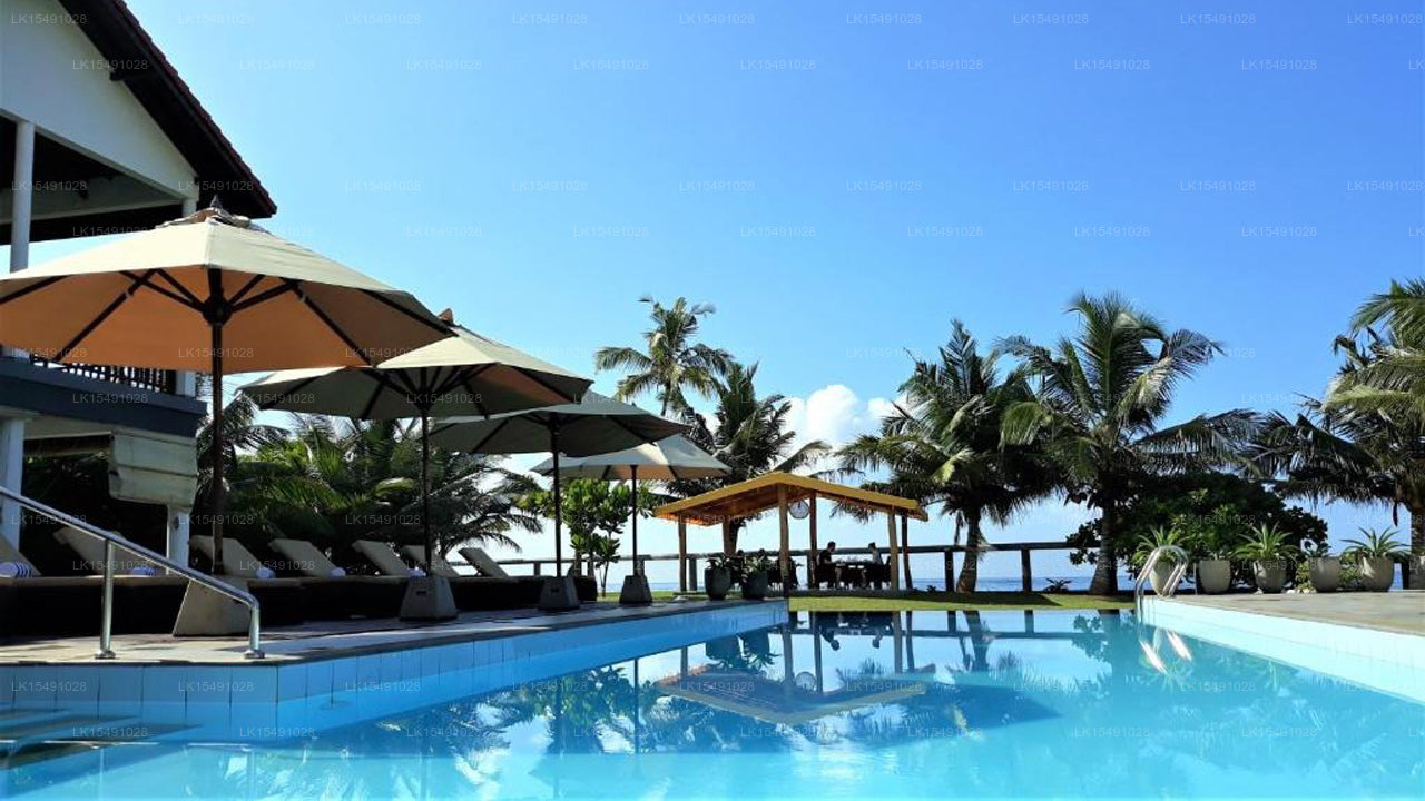 Stellen Sie sich das Villa Hotel in Mirissa vor