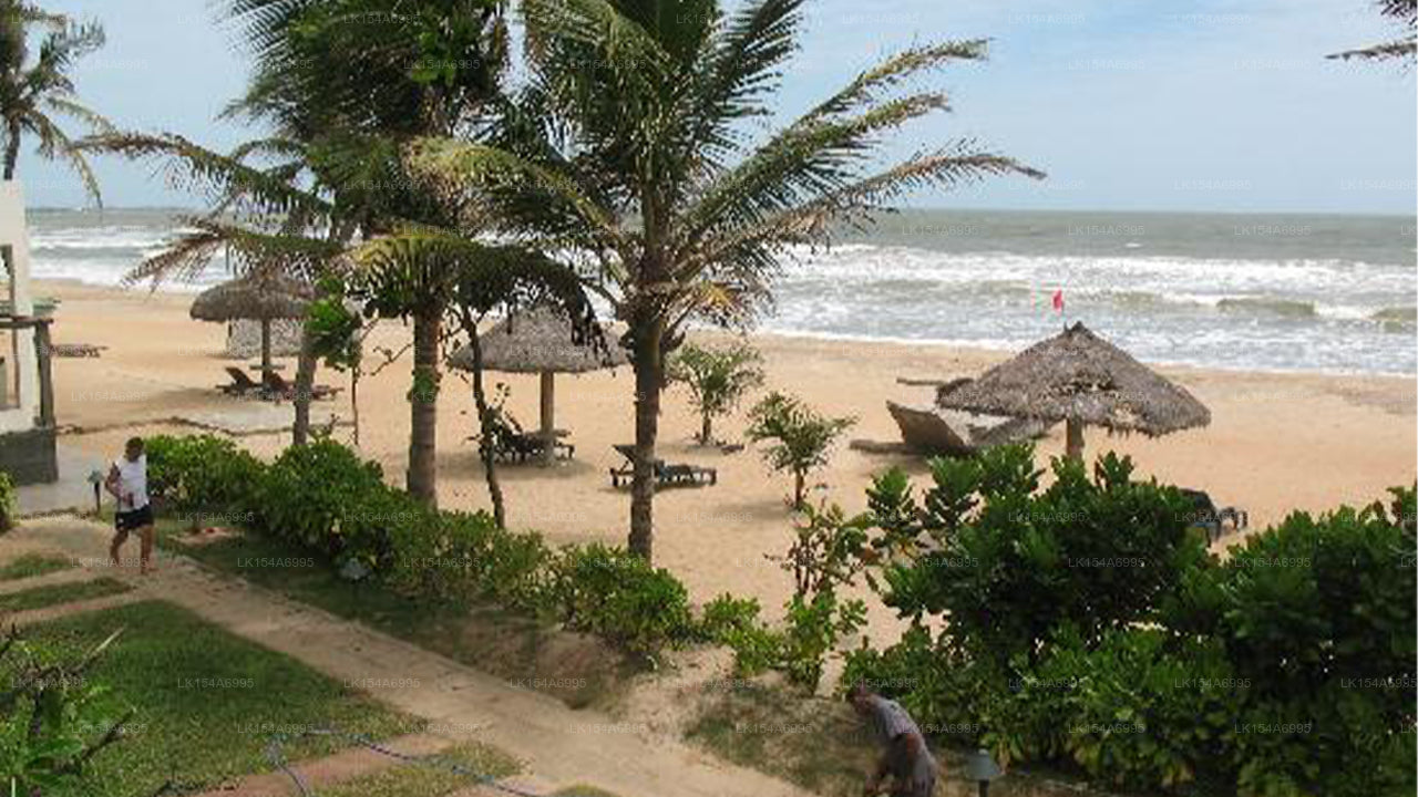 Jetwing Seashells Hotel, Waikkal