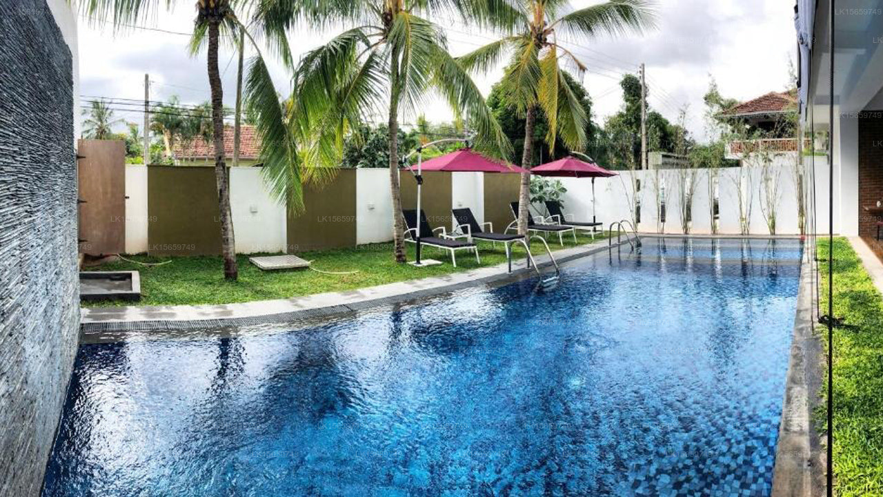 Narzissenstrand, Negombo