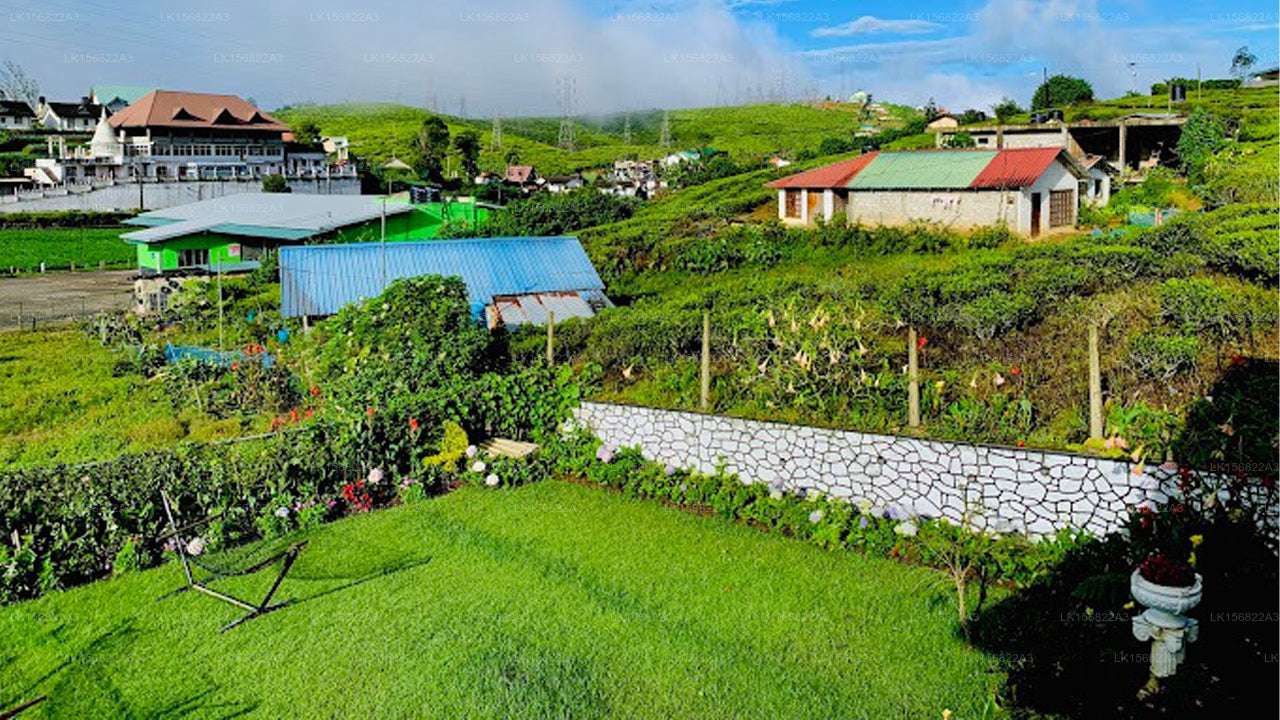 Die andere Ecke, Galaha