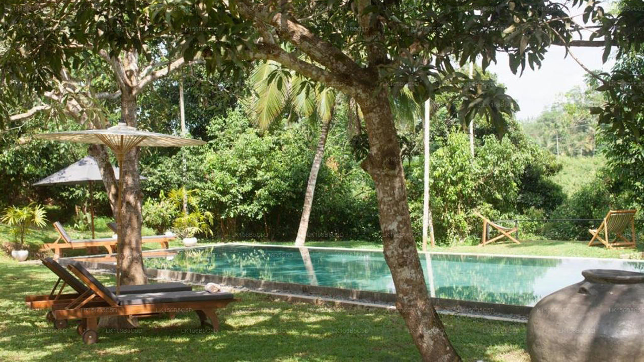Öko-Chic-Villa mit fünf Schlafzimmern | Weligama