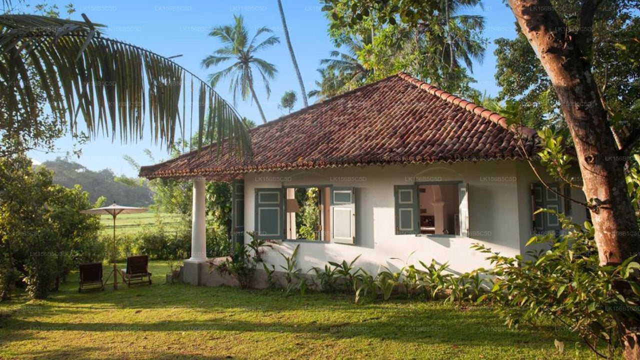 Öko-Chic-Villa mit fünf Schlafzimmern | Weligama