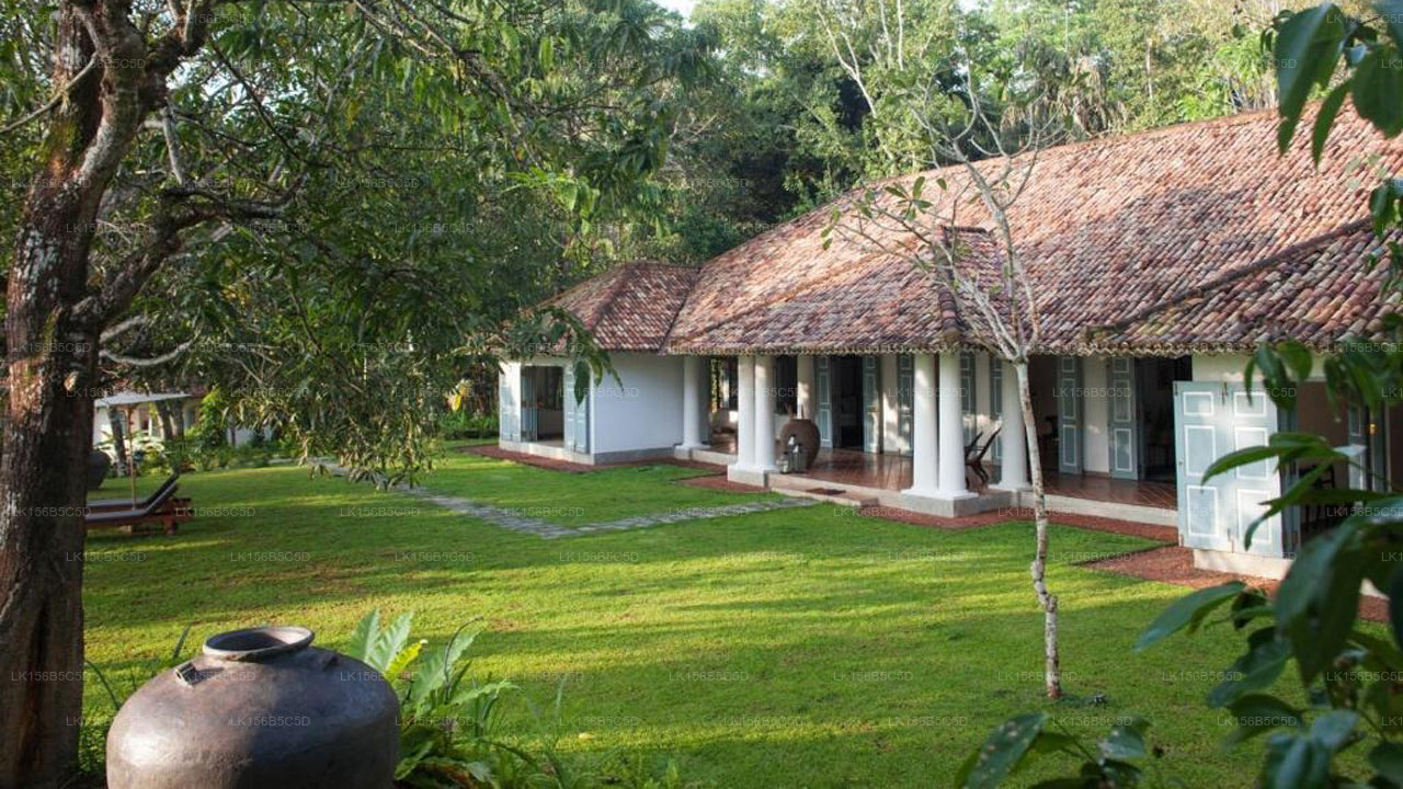 Öko-Chic-Villa mit fünf Schlafzimmern | Weligama
