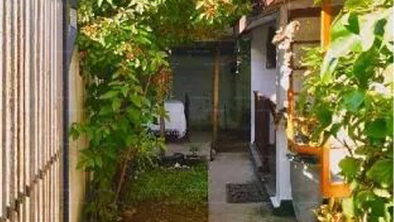 Homies Lanka - Surfer- und Reiselodge, Matara