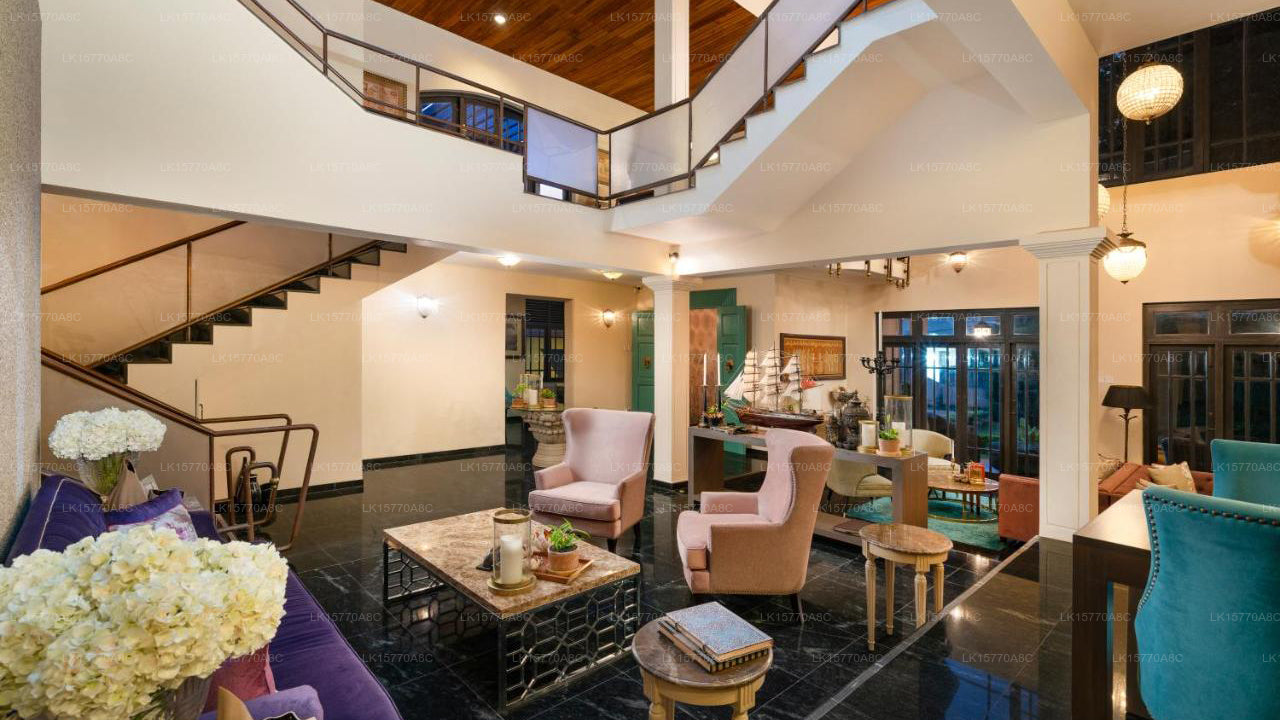 Nelkenvilla, Kandy