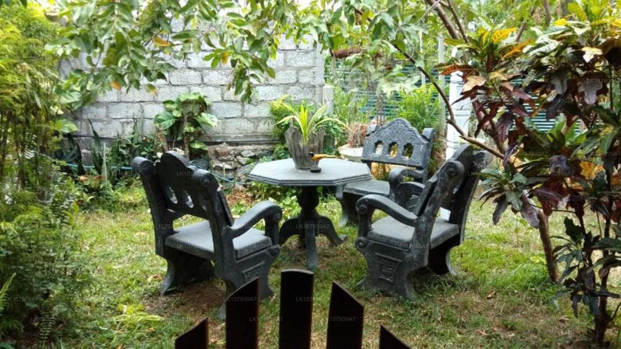 Familiennest, Dambulla