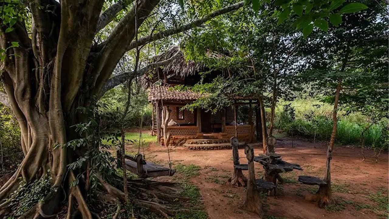 Banyan Camp, Thanamalwila