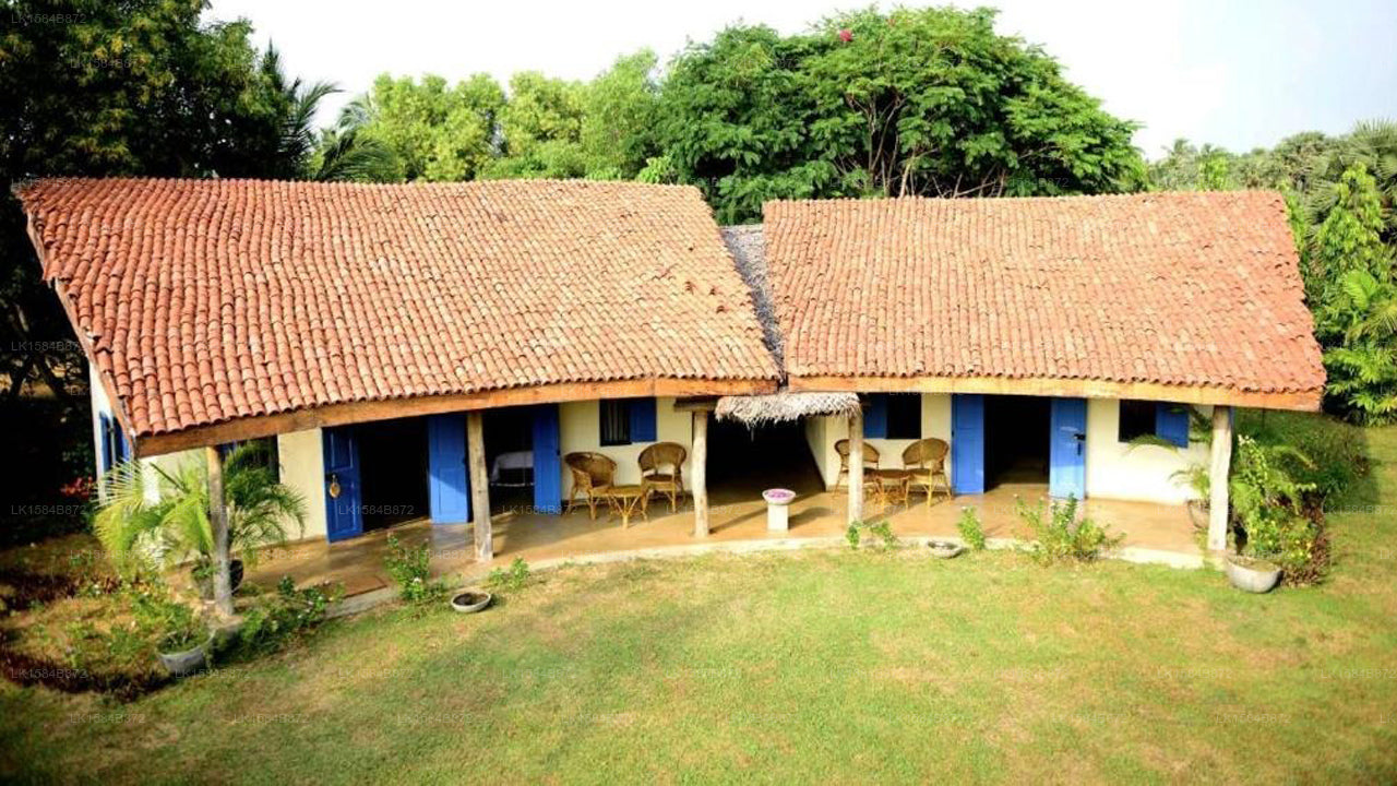 Palagama-Strand, Kalpitiya