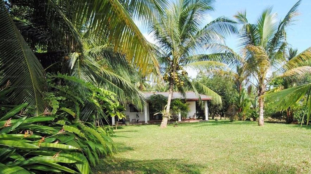 Mangrovenvilla, Bentota