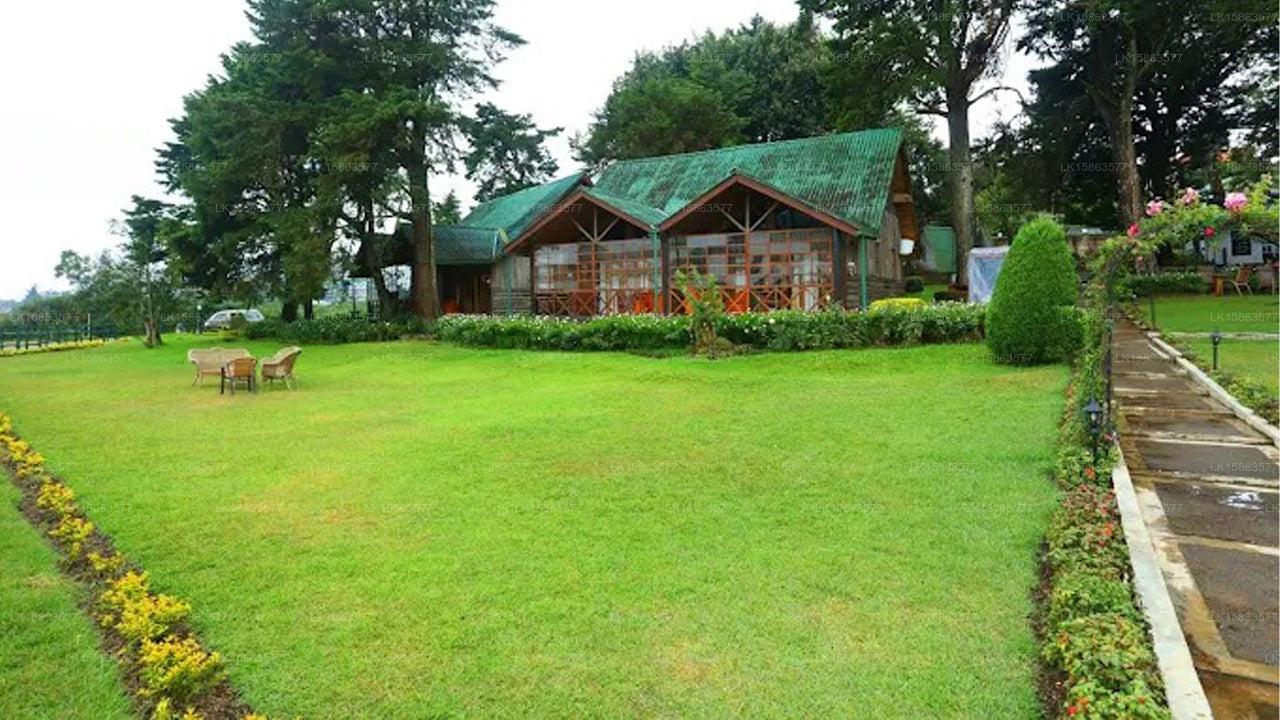 Würfel, Nuwara Eliya