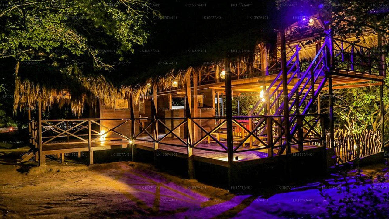 Leopardennest, Yala