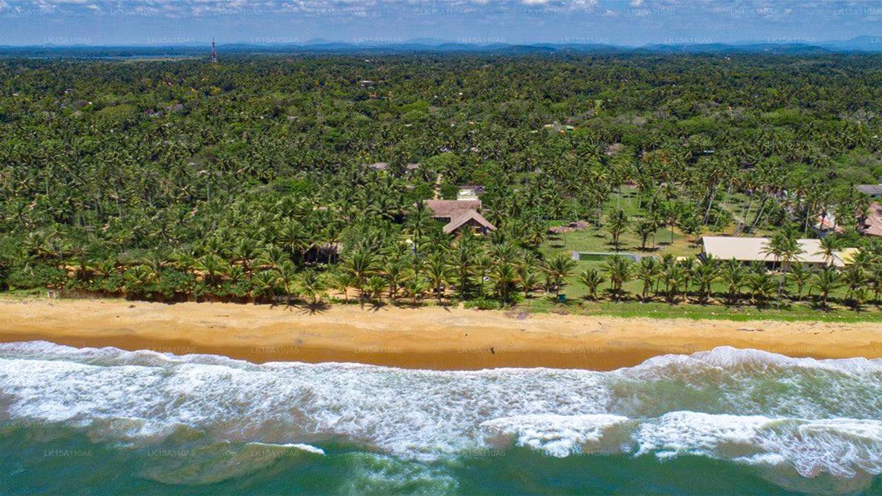 Ayana-Meer, Wadduwa