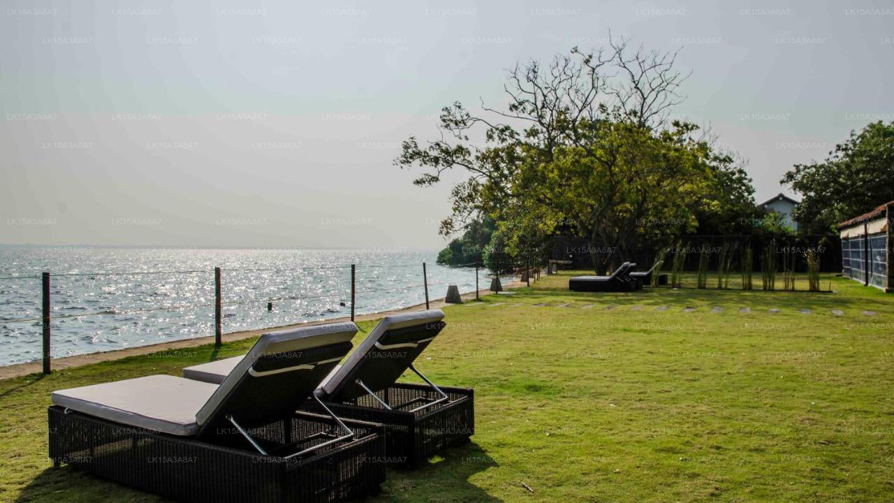 Arie-Lagune, Negombo